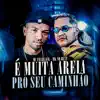 É Muita Areia pro Seu Caminhão (feat. MK no Beat) - Single album lyrics, reviews, download