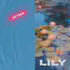 Lily (feat. DYVN) - Single album lyrics, reviews, download