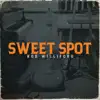 Sweet Spot - Single album lyrics, reviews, download