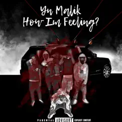 How Im Feeling? - Single by Yn Malik album reviews, ratings, credits