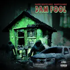 Dam Fool - Single by PaperRoute Woo & Snupe Bandz album reviews, ratings, credits