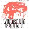 Whats the Point - Nightcore (feat. Dylan Emmet) - Single album lyrics, reviews, download