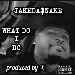 What Do I Do - Single by JakeDaSnake album reviews, ratings, credits