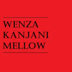 Wenza Kanjani Mellow - Single by Bob tik album reviews, ratings, credits