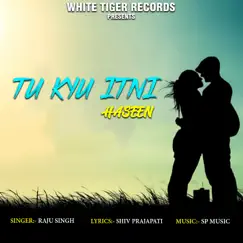 Tu Kyu Itni Haseen - Single by Raju Singh album reviews, ratings, credits