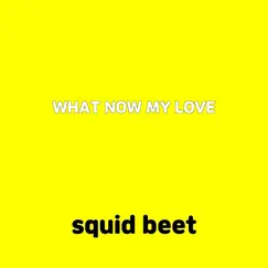 What Now My Love - Single by Squid beet album reviews, ratings, credits