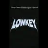 Lowkey (feat. Domani Munga & Dyana Cods) - Single album lyrics, reviews, download