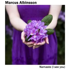 Namaste (I See You) - Single by Marcus Albinsson album reviews, ratings, credits