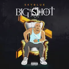 Big Shot - Single by Skyblue album reviews, ratings, credits