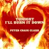 Tonight I'll Burn It Down (remix 2022 version) - Single album lyrics, reviews, download