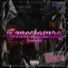 Conectamos (feat. Broklyn ZR) - Single album lyrics, reviews, download