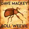 Boll Weevil album lyrics, reviews, download