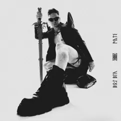 Fate - Single by Boy Blu album reviews, ratings, credits