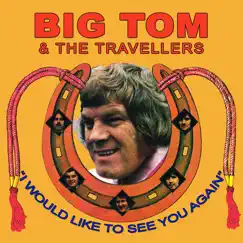 I Would Like to See You Again by Big Tom & The Travellers album reviews, ratings, credits