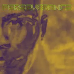Perseverance by Rodney Walker album reviews, ratings, credits