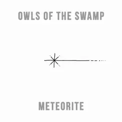 Meteorite (Single Version) by Owls Of The Swamp album reviews, ratings, credits