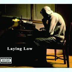 Laying Low by Mike Meraz album reviews, ratings, credits