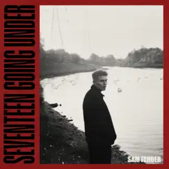 Seventeen Going Under (Live Deluxe) by Sam Fender album reviews, ratings, credits