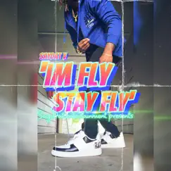 Im Fly, Stay Fly - Single by SayDatV album reviews, ratings, credits