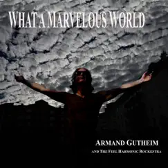 What a Marvelous World (feat. The Feel Harmonic Rockestra) Song Lyrics