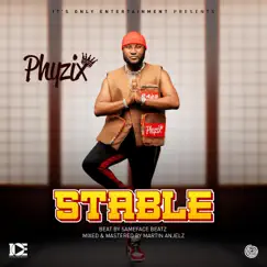 Stable - Single by Phyzix album reviews, ratings, credits