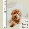 Restful Sleep BGM album lyrics, reviews, download