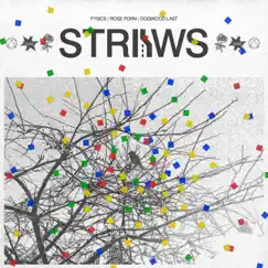 Straws Song Lyrics