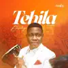 TEHILA (The Album) album lyrics, reviews, download