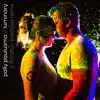 Luminary (Fhloston Paradise Remix) - Single album lyrics, reviews, download