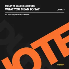 What You Mean to Say (Richard Earnshaw Vocodub) [feat. Sander Nijbroek] Song Lyrics