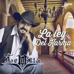 La Ley del Karma - Single by Teo Villa album reviews, ratings, credits