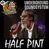 Hold On Underground (feat. Half Pint) [Dubplate] - Single album lyrics, reviews, download