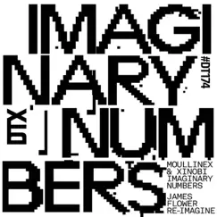 Imaginary Numbers (James Flower Re-Imagine) - Single by Moullinex & Xinobi album reviews, ratings, credits