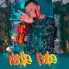 Nadie Sabe - Single album lyrics, reviews, download