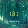 Raíces - EP album lyrics, reviews, download
