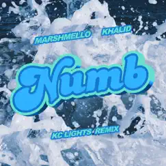 Numb (KC Lights Remix) - Single by Marshmello & Khalid album reviews, ratings, credits