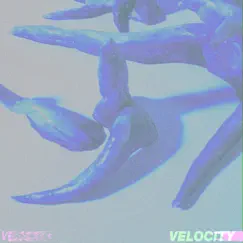 Velocity - Single by Tan album reviews, ratings, credits