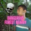 Dangerous Forest Nearby - Single album lyrics, reviews, download