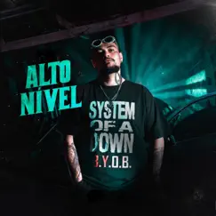 Alto Nível Song Lyrics