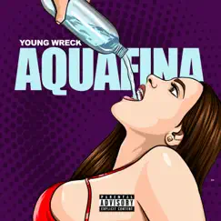 Aquafina - Single by Young Wreck album reviews, ratings, credits
