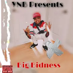 Big Bidness - Single by YNB Que album reviews, ratings, credits