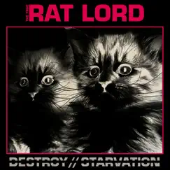 Destroy / Starvation - Single by Rat Lord album reviews, ratings, credits