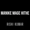 Manike Mage Hithe (Instrumental Version) - Single album lyrics, reviews, download