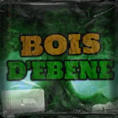 BOIS D'ÉBÈNE (feat. Lunar_) - Single by Stain_ album reviews, ratings, credits