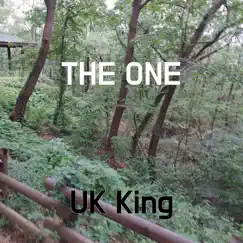 The One - Single by UK King album reviews, ratings, credits