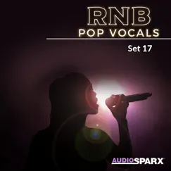 RnB Pop Vocals, Set 17 by Various Artists album reviews, ratings, credits