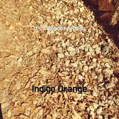 It's a Beautiful Thing - Single by Indigo Orange album reviews, ratings, credits
