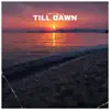 Till Dawn - Single album lyrics, reviews, download