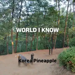 World I Know - Single by Korea Pineapple album reviews, ratings, credits