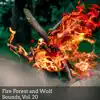 Forest Fire Motion song lyrics